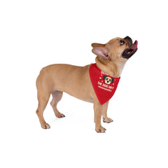 Collection image for: PET BANDANNA