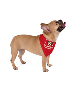Collection image for: PET BANDANNA