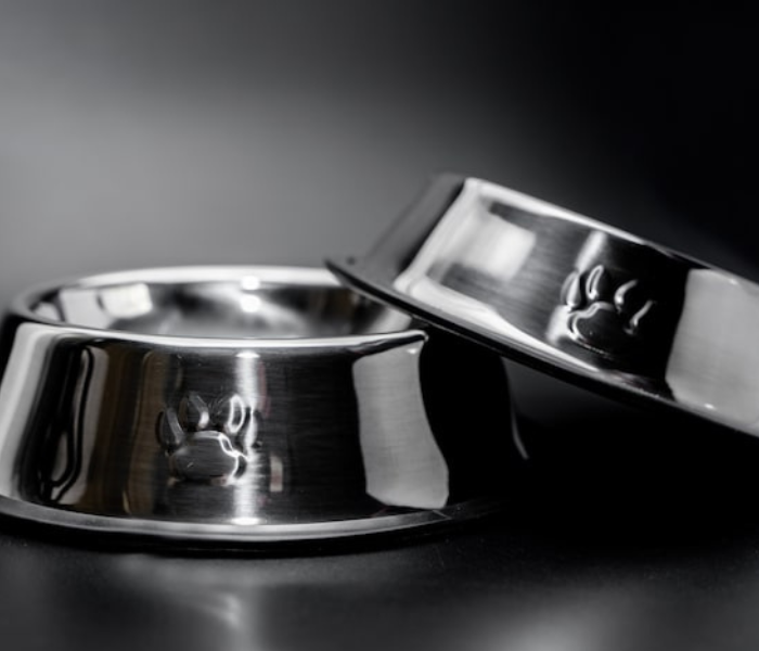 <h2>Our Pet Bowl Collections</h2>