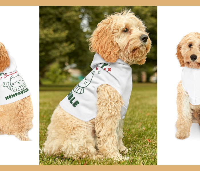 <h2>All Our Pet Wears</h2>