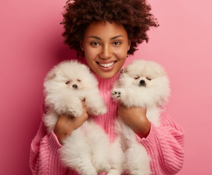 <h1><strong>This is Mompawsible</strong></h1>